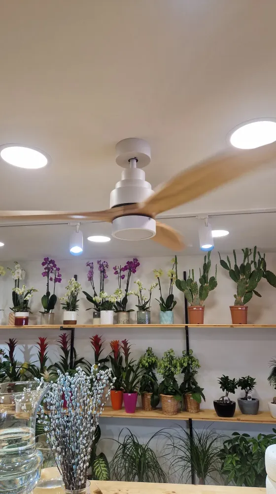 installation electrique (1)